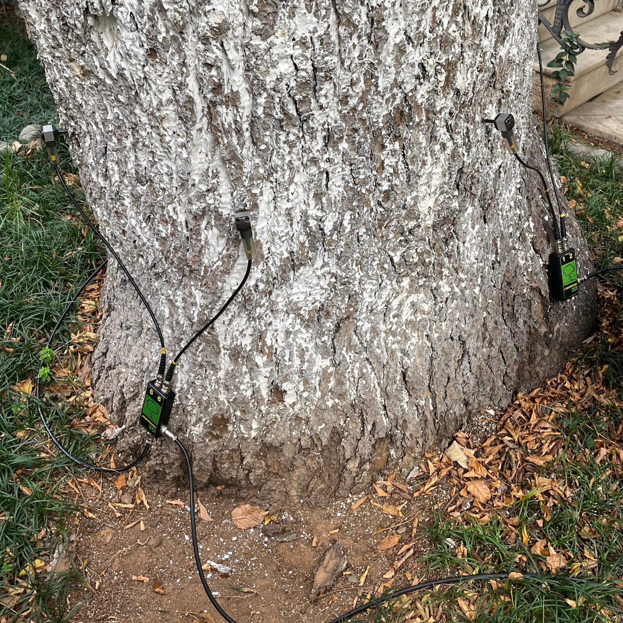 ormancılık, 3D Akustik Tomografi