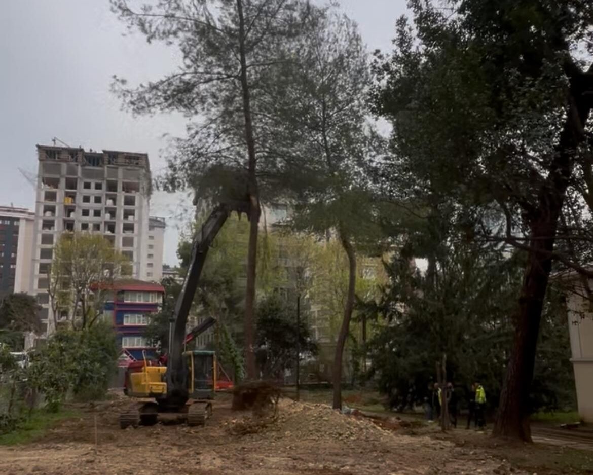 whatsapp image 2026 02 15 at a