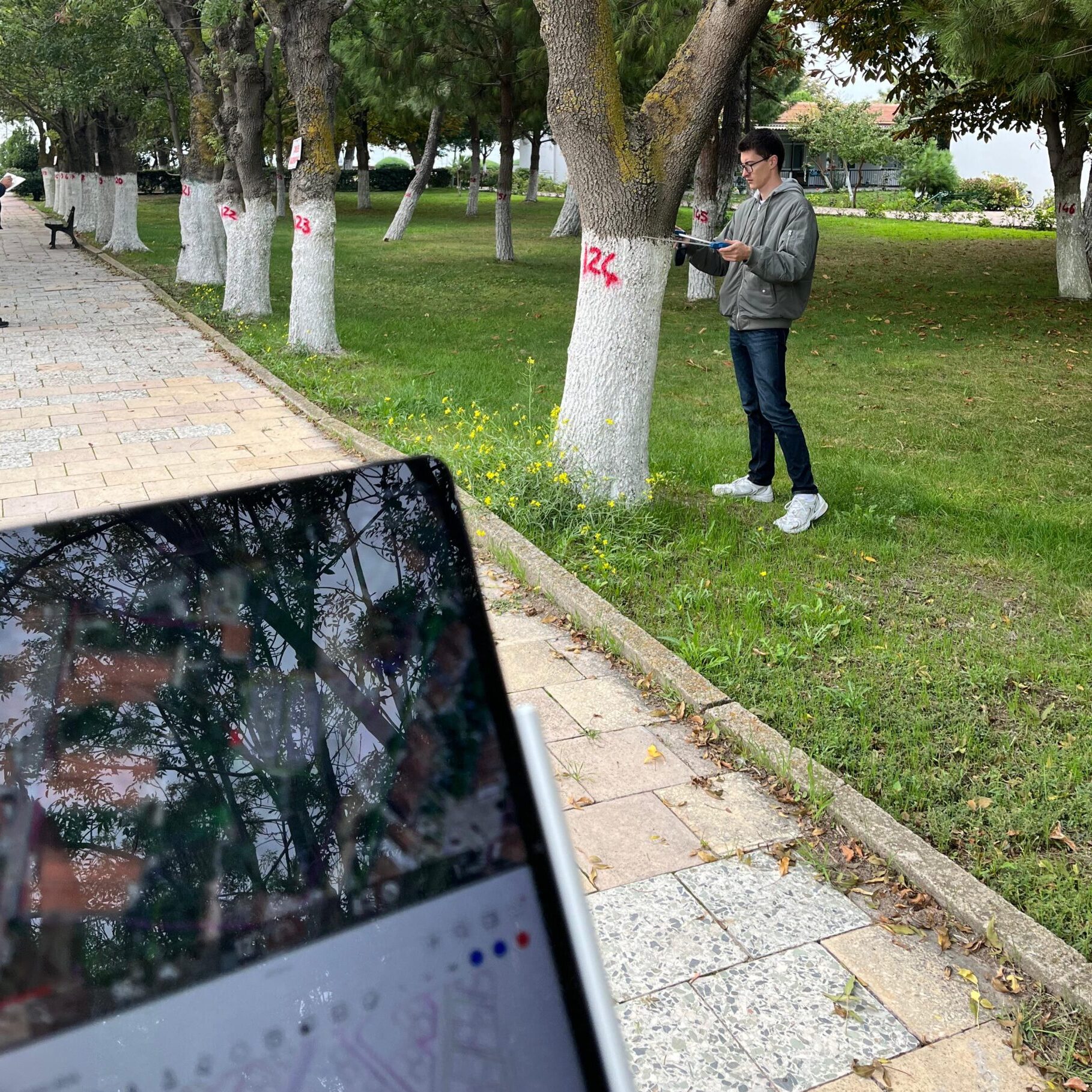 ağaç rölöve planı