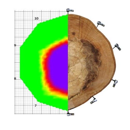 arborsonic 3d ağaç tomografisi