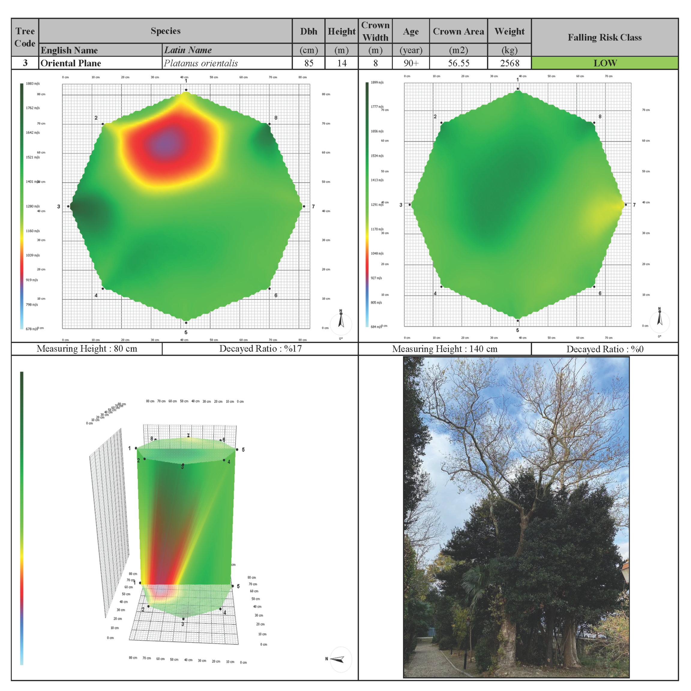 3D Akustik Tomografi